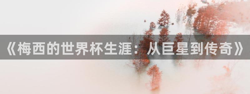 世界杯 中国：《梅西的世界杯生涯：从巨星到传奇》