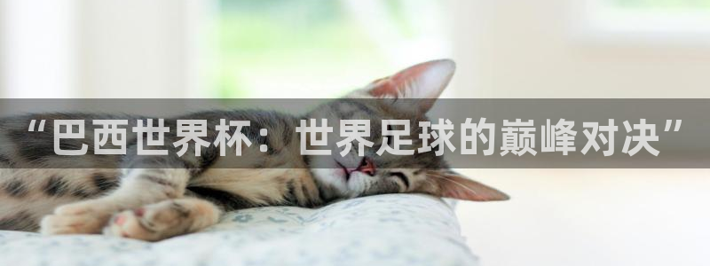 2026世界杯对阵图：“巴西世界杯：世界足球的巅峰对决”