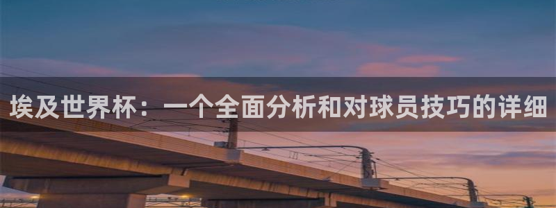 世界杯欧洲预选赛：埃及世界杯：一个全面分析和对球员技巧的详细