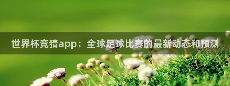 世界杯决赛预测：世界杯竞猜app：全球足球比赛的最新动态和预测