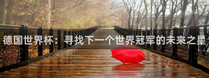 2026世界杯对阵图：德国世界杯：寻找下一个世界冠军的未来之星