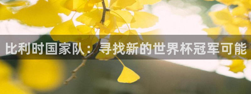 英足总杯直播：比利时国家队：寻找新的世界杯冠军可能