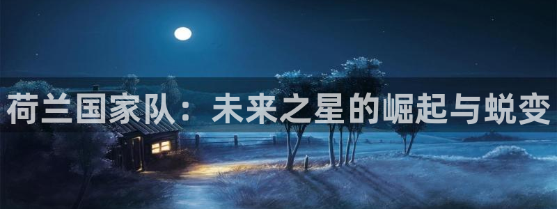 世界杯球队：荷兰国家队：未来之星的崛起与蜕变