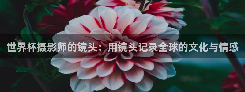 世界杯直播网：世界杯摄影师的镜头：用镜头记录全球的文化与情感