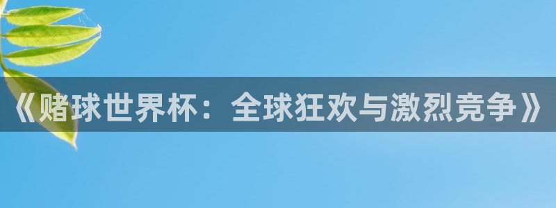 世界杯比赛：《赌球世界杯：全球狂欢与激烈竞争》