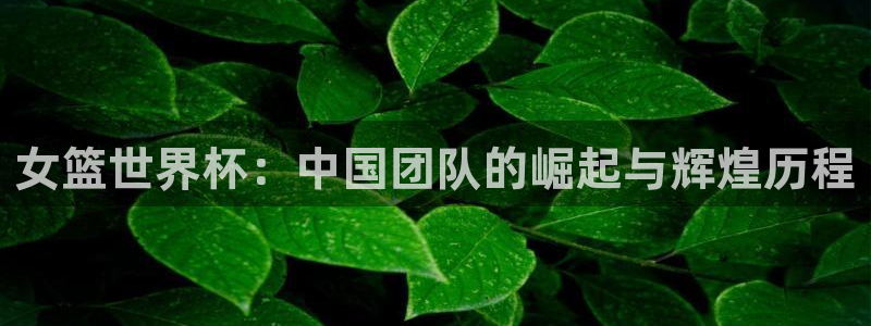 2026世界杯赛：女篮世界杯：中国团队的崛起与辉煌历程