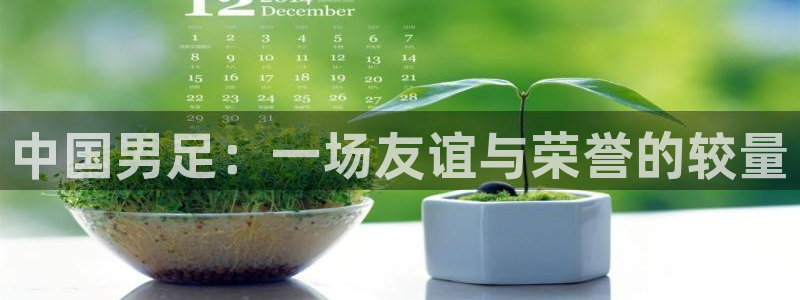 法国杯2026赛程表：中国男足：一场友谊与荣誉的较量
