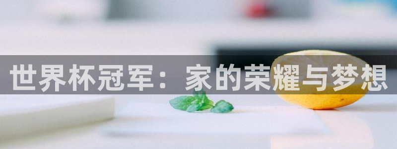 世界杯预选赛赛程表：世界杯冠军：家的荣耀与梦想