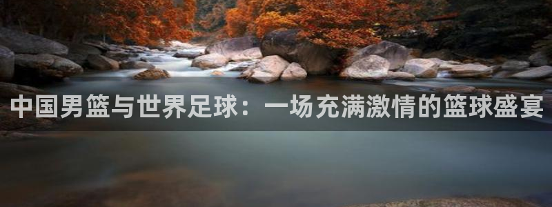 世界杯决赛圈球队：中国男篮与世界足球：一场充满激情的篮球盛宴