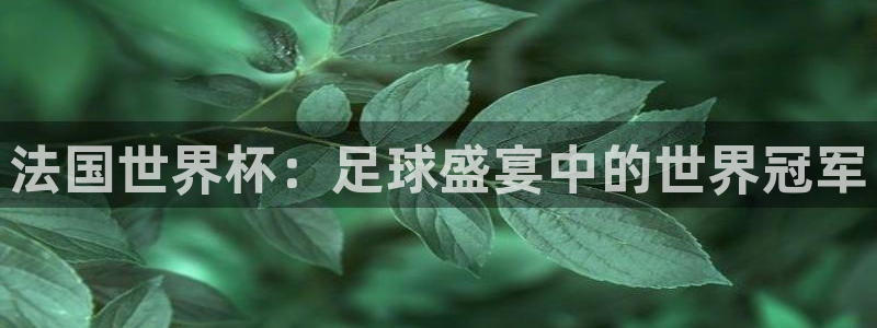 足球世界杯时间：法国世界杯：足球盛宴中的世界冠军