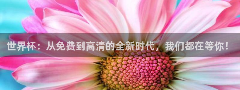 足球世预赛：世界杯：从免费到高清的全新时代，我们都在等你！